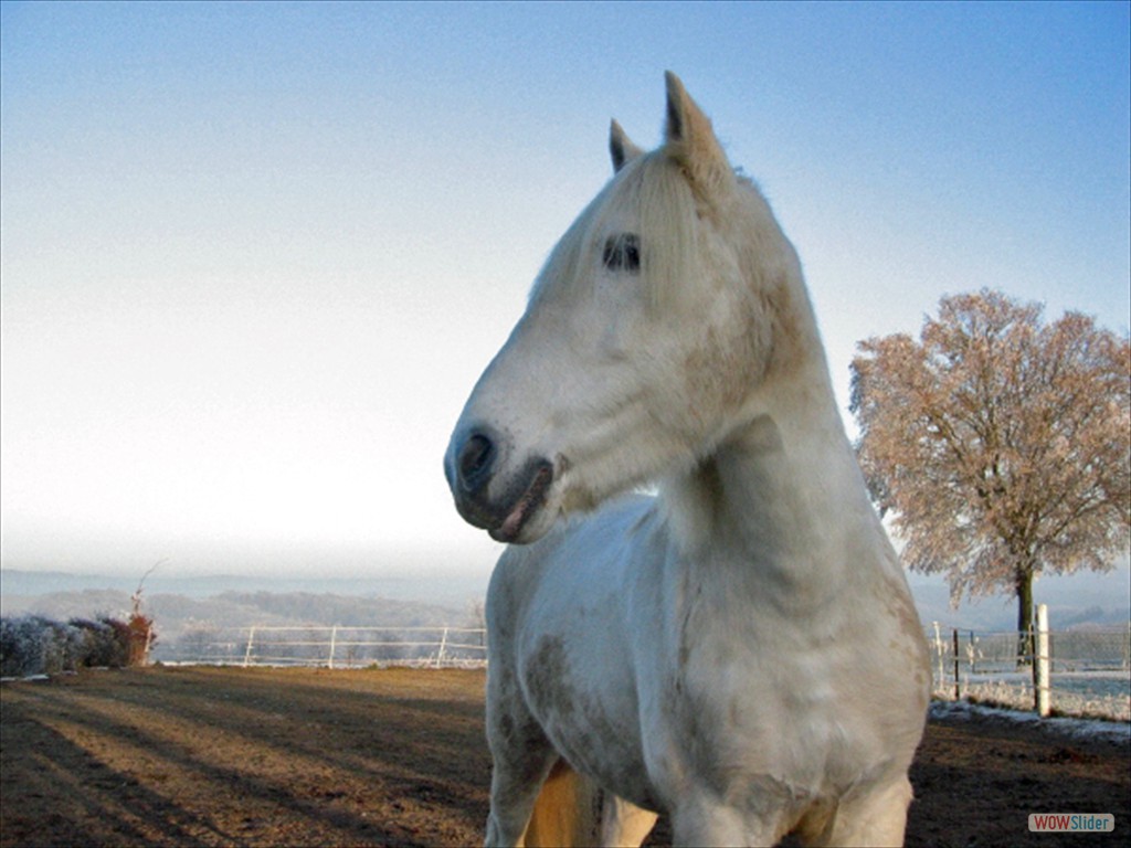 blanka115_1502_bearbeitet-1