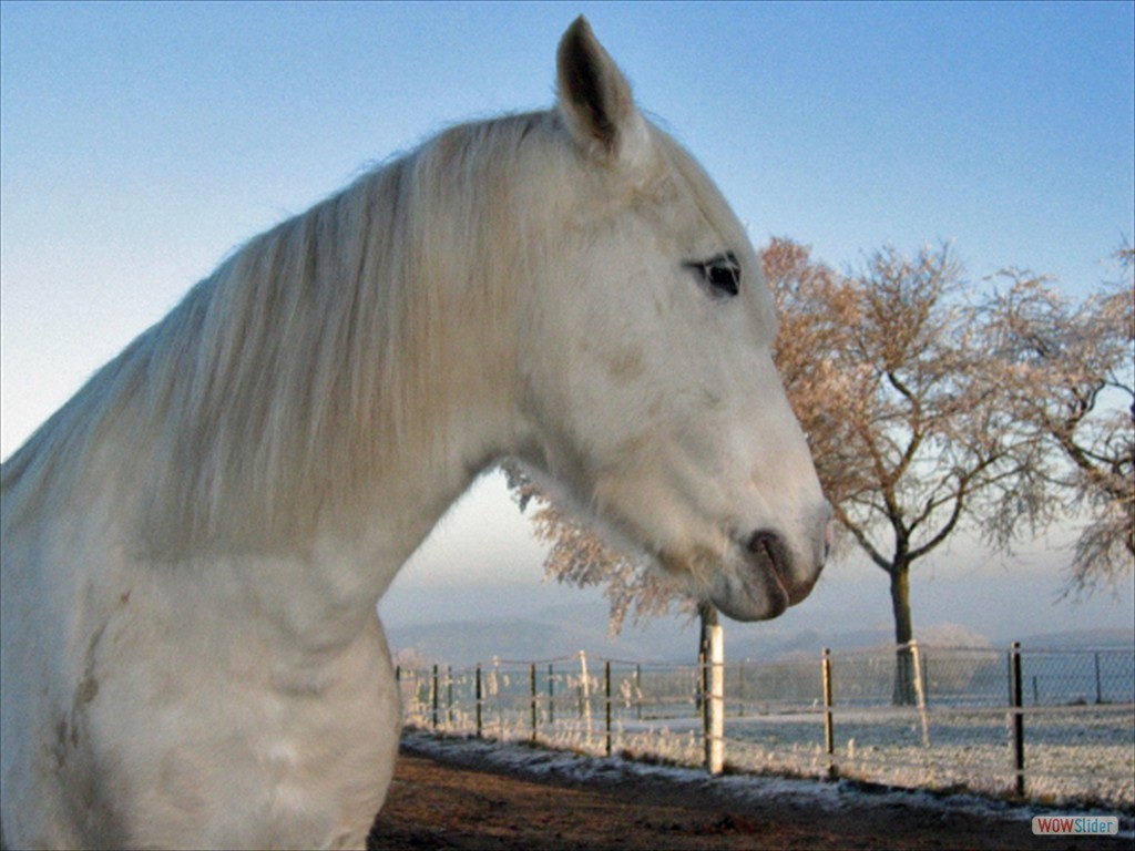 blanka115_1503_bearbeitet-1